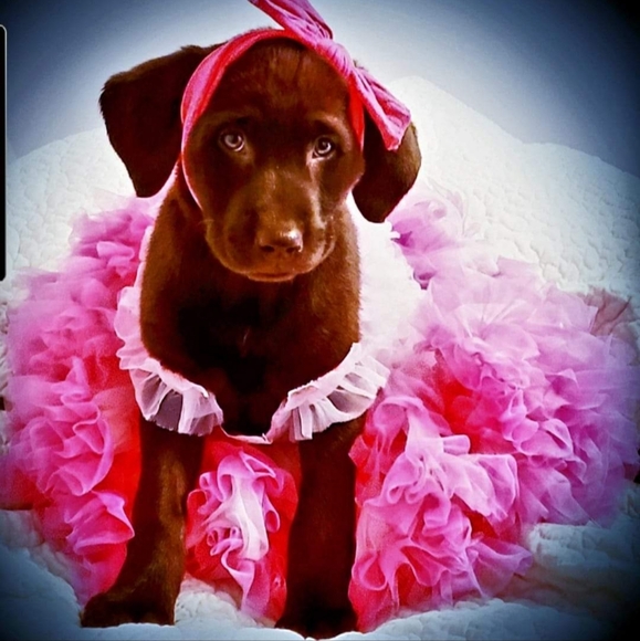 A bit of this and that! - Picture 4 of 4